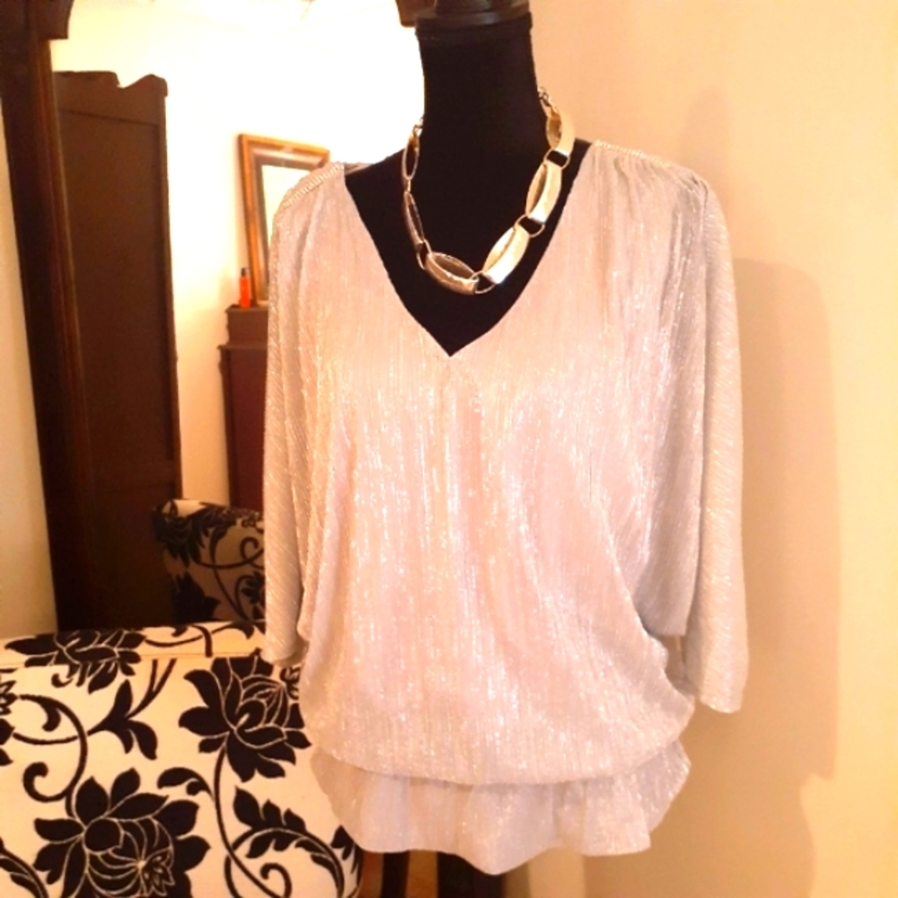 Dolman sheer sleeve top FABULOUS!